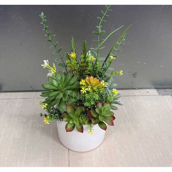 Chậu sen đá mix trang trí kệ tủ